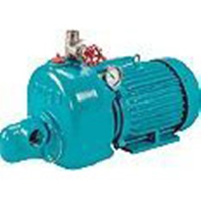 Onga OJ700 Farm Pump with Pressure Switch andamp Injector