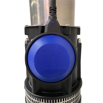 BIAB42AC  Submersible Clean Water Pump